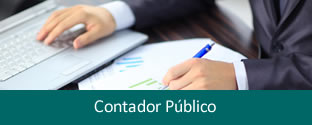 Contador Público